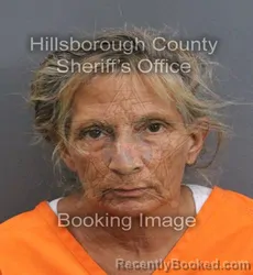 Mugshot of Rosa Valdes booked in Hillsborough County, Florida on September 6, 2026