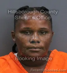 Mugshot of Jamecia Laurel Gaines booked in Hillsborough County, Florida on September 6, 2026