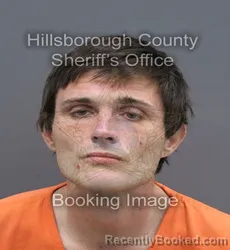 Mugshot of Chase Cecil Shafer booked in Hillsborough County, Florida on September 6, 2026