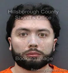 Mugshot of NOAH SEBASTIAN DEANDA