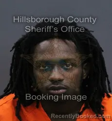 Mugshot of Casen Elvis O'Neal Crooks booked in Hillsborough County, Florida on September 7, 2026