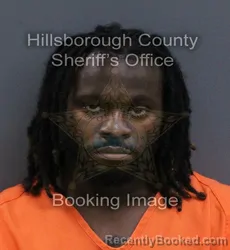 Mugshot of Andrew Palmer Iv booked in Hillsborough County, Florida on September 7, 2026