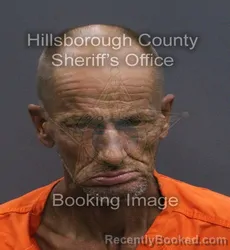 Mugshot of Lynn Michael Johnson booked in Hillsborough County, Florida on September 7, 2026