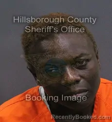Mugshot of Sharon Germaine Walton booked in Hillsborough County, Florida on September 7, 2026
