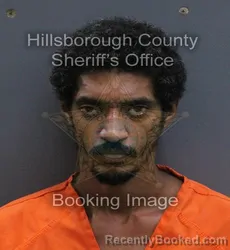 Mugshot of David George Huber booked in Hillsborough County, Florida on September 7, 2026