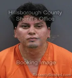 Mugshot of Roger Stuart Andujar booked in Hillsborough County, Florida on September 7, 2026