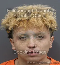 Mugshot of Emanuel Javier Morales booked in Hillsborough County, Florida on September 7, 2026