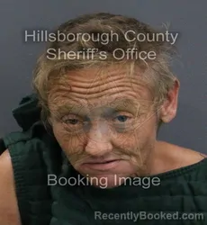 Mugshot of Jennifer Michelle Leedham booked in Hillsborough County, Florida on September 7, 2026