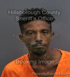 Mugshot of Evelio D Rodriguez booked in Hillsborough County, Florida on September 7, 2026