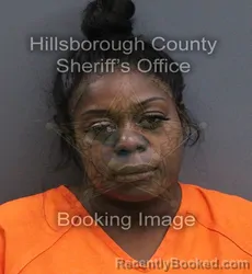 Mugshot of Amanda Elaine Chatmon booked in Hillsborough County, Florida on September 7, 2026