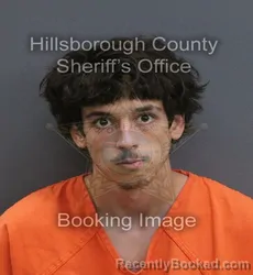 Mugshot of Asher Lane Simmons booked in Hillsborough County, Florida on September 7, 2026