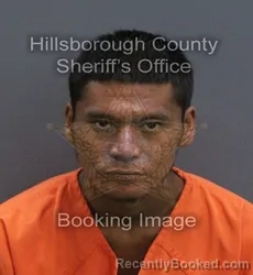 Mugshot of Nathan Jhoan Steely booked in Hillsborough County, Florida on September 7, 2026