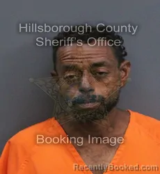 Mugshot of Jon Pierre Arias booked in Hillsborough County, Florida on September 7, 2026