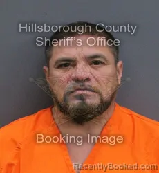 Mugshot of Peter Michael Shatsky booked in Hillsborough County, Florida on September 7, 2026