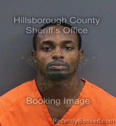 Mugshot of Dominick Travonte Harvey booked in Hillsborough County, Florida on September 7, 2026