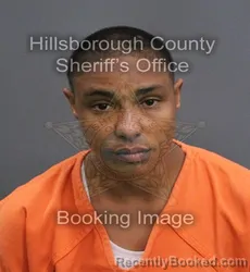 Mugshot of Vanessa Dayani Cabrera booked in Hillsborough County, Florida on September 7, 2026