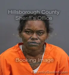 Mugshot of Kiera Shantelle Parker booked in Hillsborough County, Florida on September 7, 2026