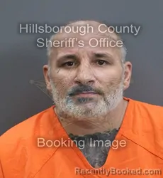 Mugshot of Stephen David Jr Scarlott booked in Hillsborough County, Florida on September 7, 2026
