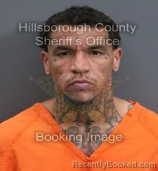 Mugshot of Demetrius Tyrell Eldridge booked in Hillsborough County, Florida on September 7, 2026