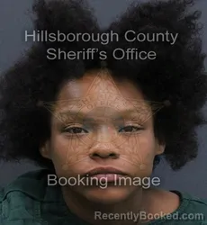 Mugshot of Angelica Jeanette Jenkins booked in Hillsborough County, Florida on September 7, 2026