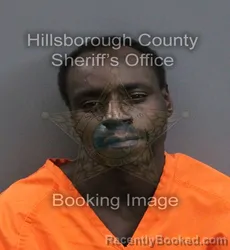 Mugshot of Towan Marque Ward booked in Hillsborough County, Florida on September 7, 2026