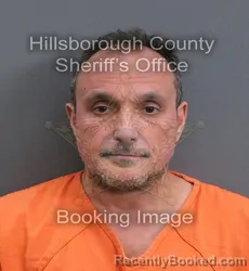 Mugshot of Michael Heinzman booked in Hillsborough County, Florida on September 7, 2026