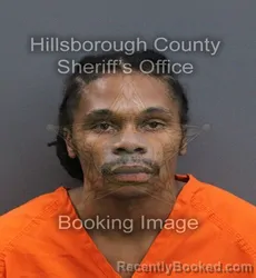 Mugshot of Nathaniel Bryce Chapman booked in Hillsborough County, Florida on September 7, 2026