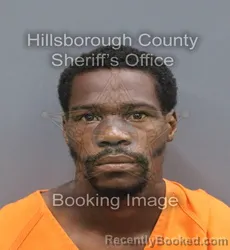 Mugshot of Lenier Devone Jr Robinson booked in Hillsborough County, Florida on September 7, 2026