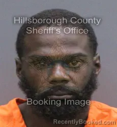Mugshot of Meshach Abendio Thornton booked in Hillsborough County, Florida on September 7, 2026