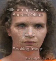Mugshot of Amanda Michelle Johnson booked in Hillsborough County, Florida on September 7, 2026