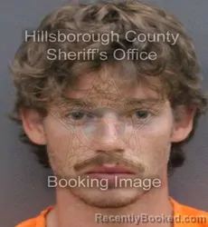 Mugshot of Skylar Steven Stavrevski booked in Hillsborough County, Florida on September 7, 2026