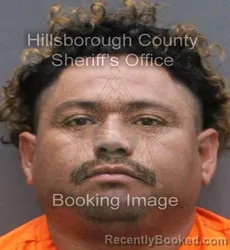Mugshot of Eliudnaid Medina Torres booked in Hillsborough County, Florida on September 7, 2026