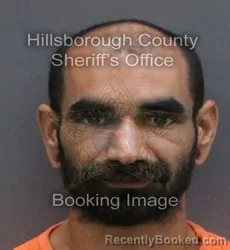 Mugshot of Dillon Jacob Pellegran booked in Hillsborough County, Florida on September 7, 2026