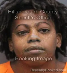 Mugshot of Ernest Raynardo Jr Williams booked in Hillsborough County, Florida on September 7, 2026