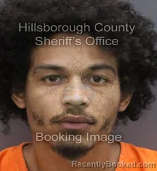 Mugshot of Markevius Jahquell Del Llano booked in Hillsborough County, Florida on September 7, 2026