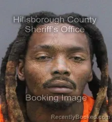 Mugshot of Demario Marquise Anderson booked in Hillsborough County, Florida on September 7, 2026