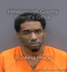 Mugshot of Devin T Wright booked in Hillsborough County, Florida on September 8, 2026