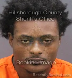 Mugshot of Zavion Tyrelle Miller booked in Hillsborough County, Florida on September 8, 2026