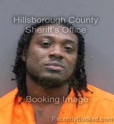 Mugshot of Danielle Quanshay Whitfield booked in Hillsborough County, Florida on September 8, 2026