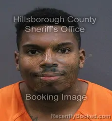Mugshot of Adam Alexander Solis booked in Hillsborough County, Florida on September 8, 2026