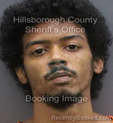 Mugshot of Jahrin Jahman Ingraham booked in Hillsborough County, Florida on September 8, 2026