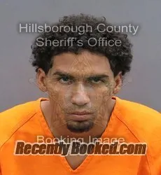 Booking photo from Hillsborough County, Florida