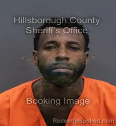 Mugshot of Roshawn Rashaad Norton booked in Hillsborough County, Florida on September 8, 2026