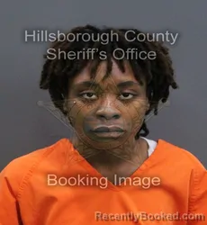 Mugshot of Raven Renee Riles booked in Hillsborough County, Florida on September 8, 2026