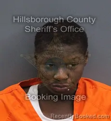 Mugshot of Kameron Nychole Myckel Donalson booked in Hillsborough County, Florida on September 8, 2026