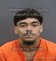 Mugshot of Nick Harry Rios booked in Hillsborough County, Florida on September 8, 2026