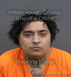 Mugshot of Wilniel Manuel Donato Garcia booked in Hillsborough County, Florida on September 8, 2026
