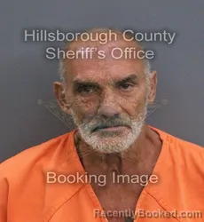 Mugshot of John Bernard Capaldo booked in Hillsborough County, Florida on September 8, 2026