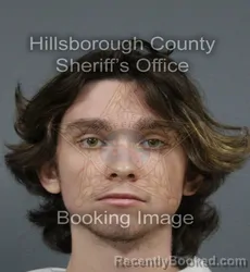Mugshot of Carsen Cage Crisafulli booked in Hillsborough County, Florida on September 8, 2026