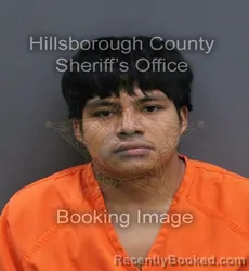 Mugshot of Carlos Manuel Lopez booked in Hillsborough County, Florida on September 8, 2026
